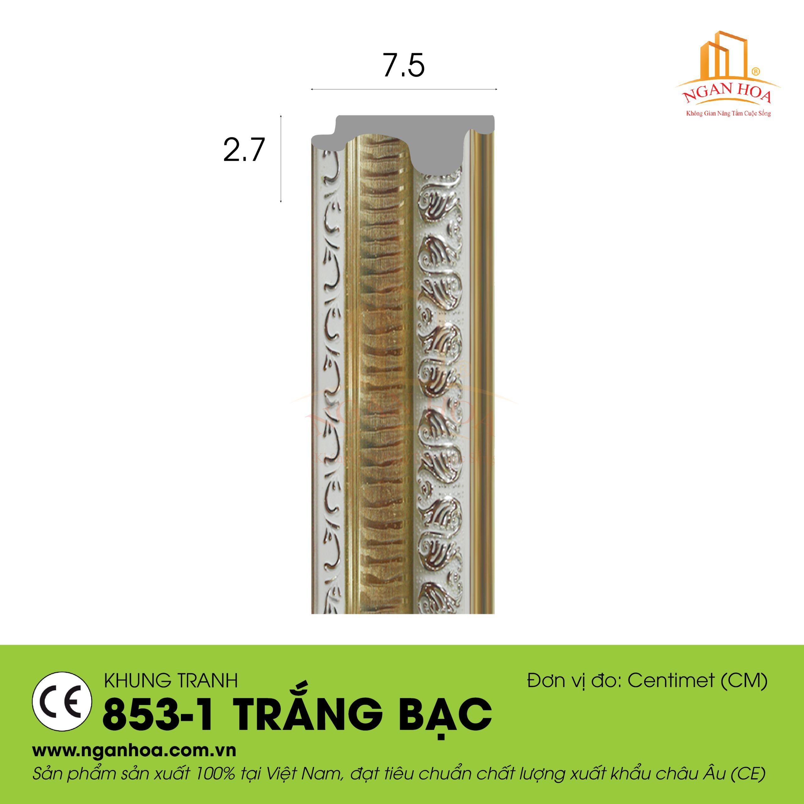 KT 853 1 Trang bac scaled